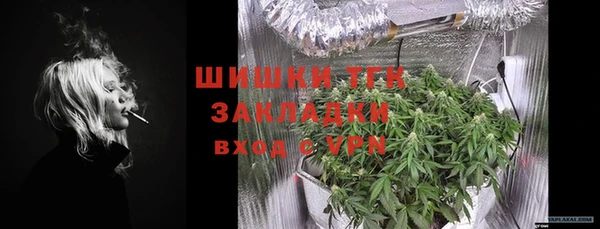таблы Осинники